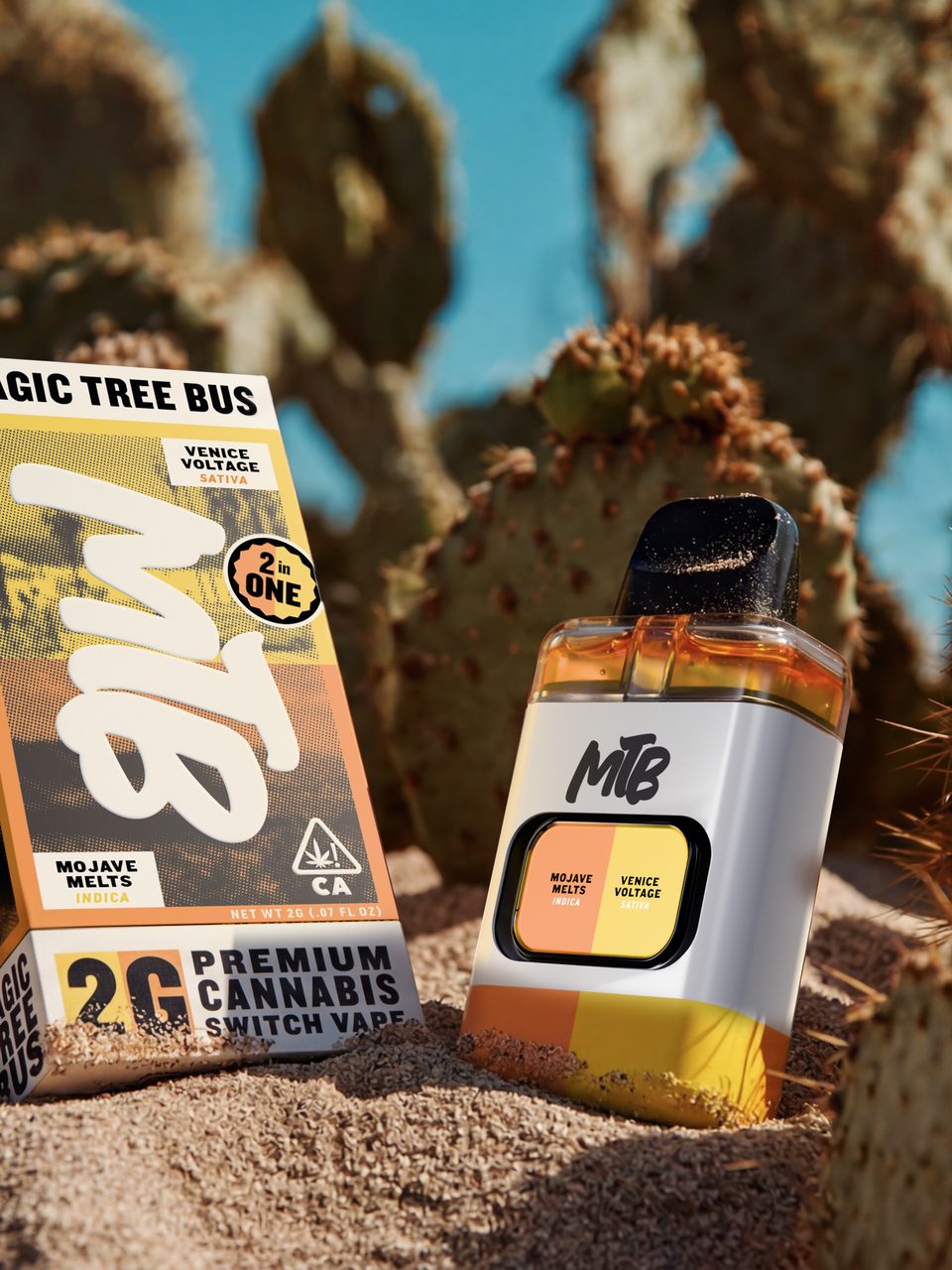 Magic Tree Bus